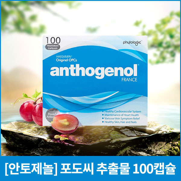 [안토제놀] 안토제놀 포도씨 추출물 100캡슐